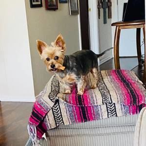 Meet your Posher, Debbie